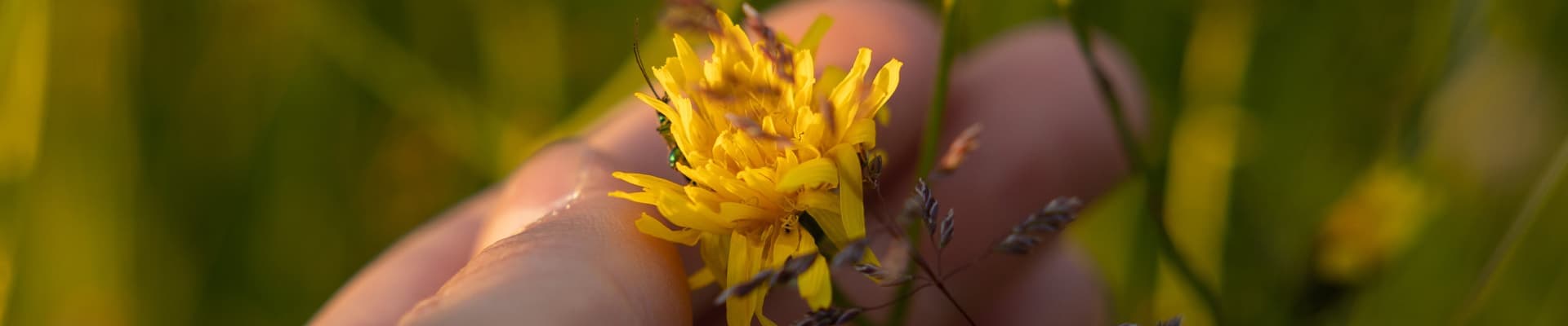 Rispetta la Natura!