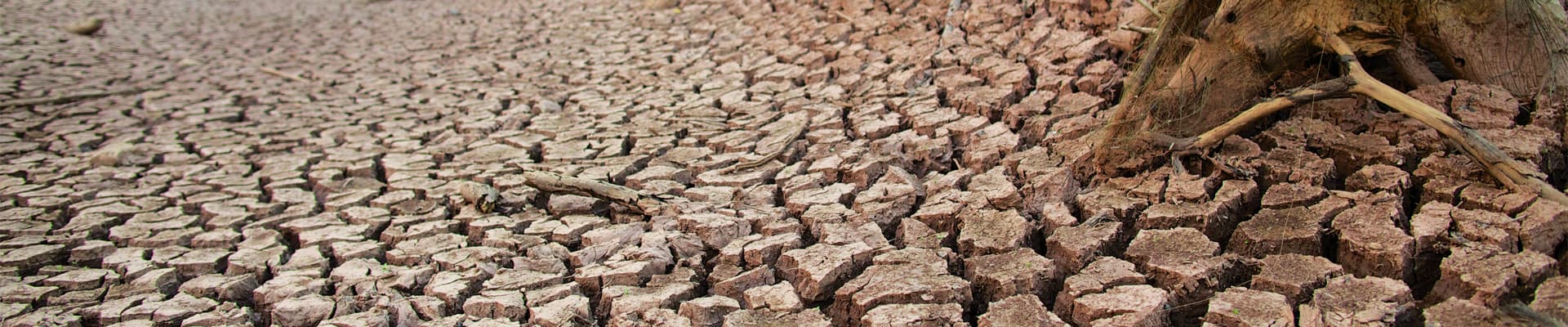 Un terreno crepato e fratturato a causa della siccità