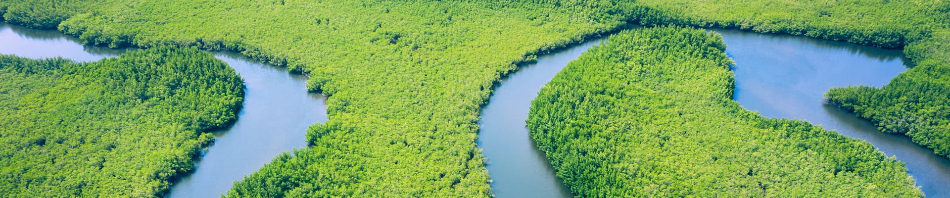 Una visione aerea della foresta amazzonica, bacino di biodiversità