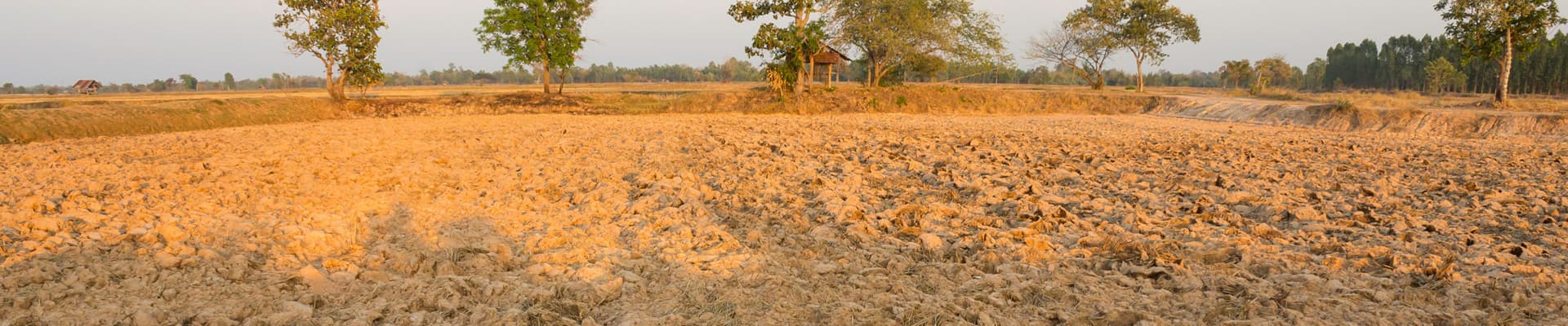 Il deterioramento dei suoli è un altro degli effetti del cambiamento climatico