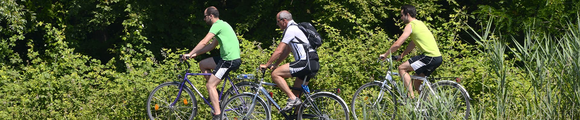 Turismo in bicicletta