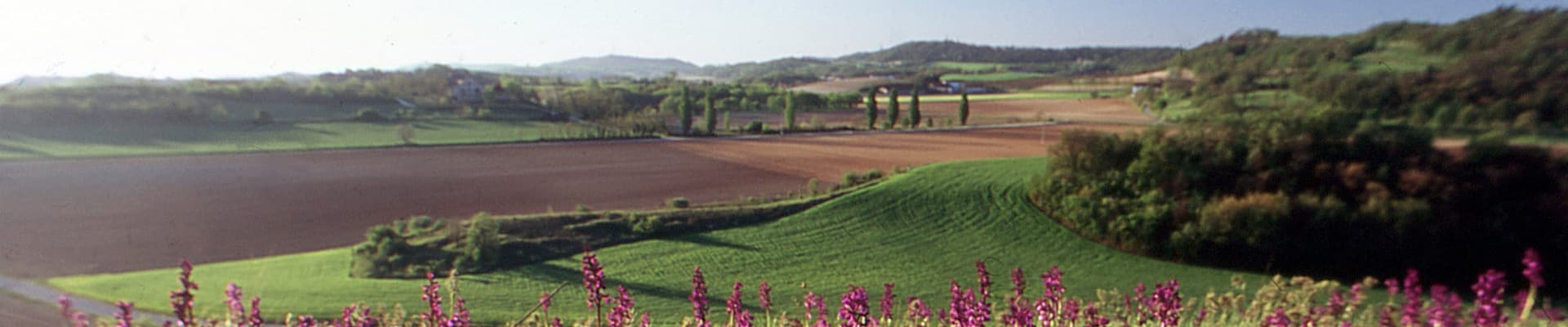 Paesaggio